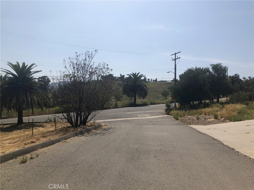 3783304 Turnbull Avenue Property Photo 15
