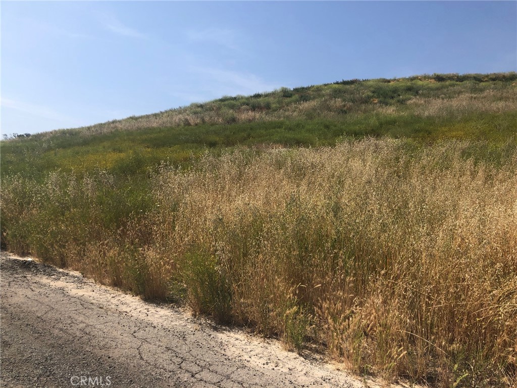 3783304 Turnbull Avenue Property Photo 21