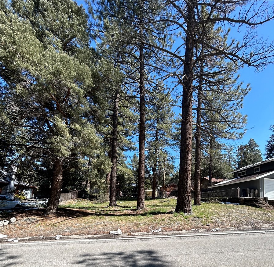 0 Sheep Creek Drive Property Photo 1