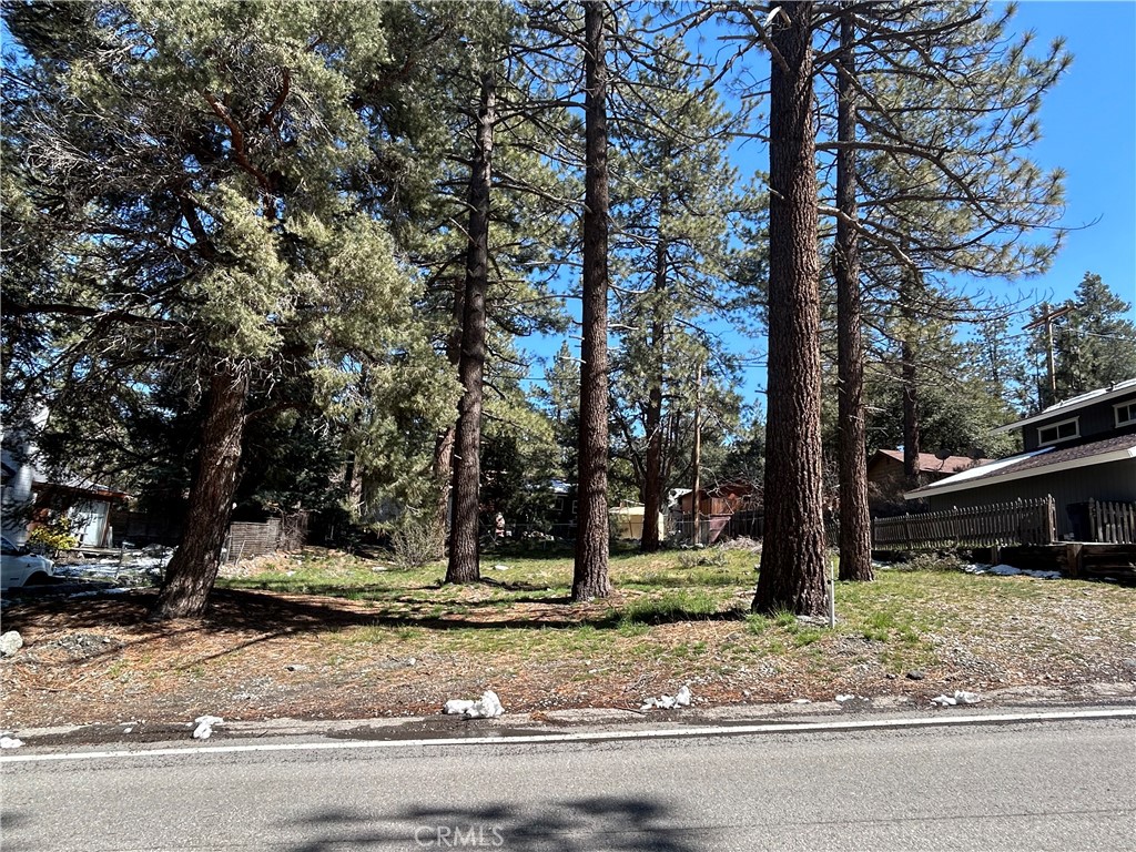 0 Sheep Creek Drive Property Photo 2