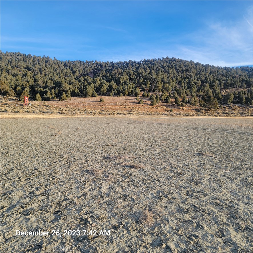 2750 Erwin Ranch Road Property Photo 4