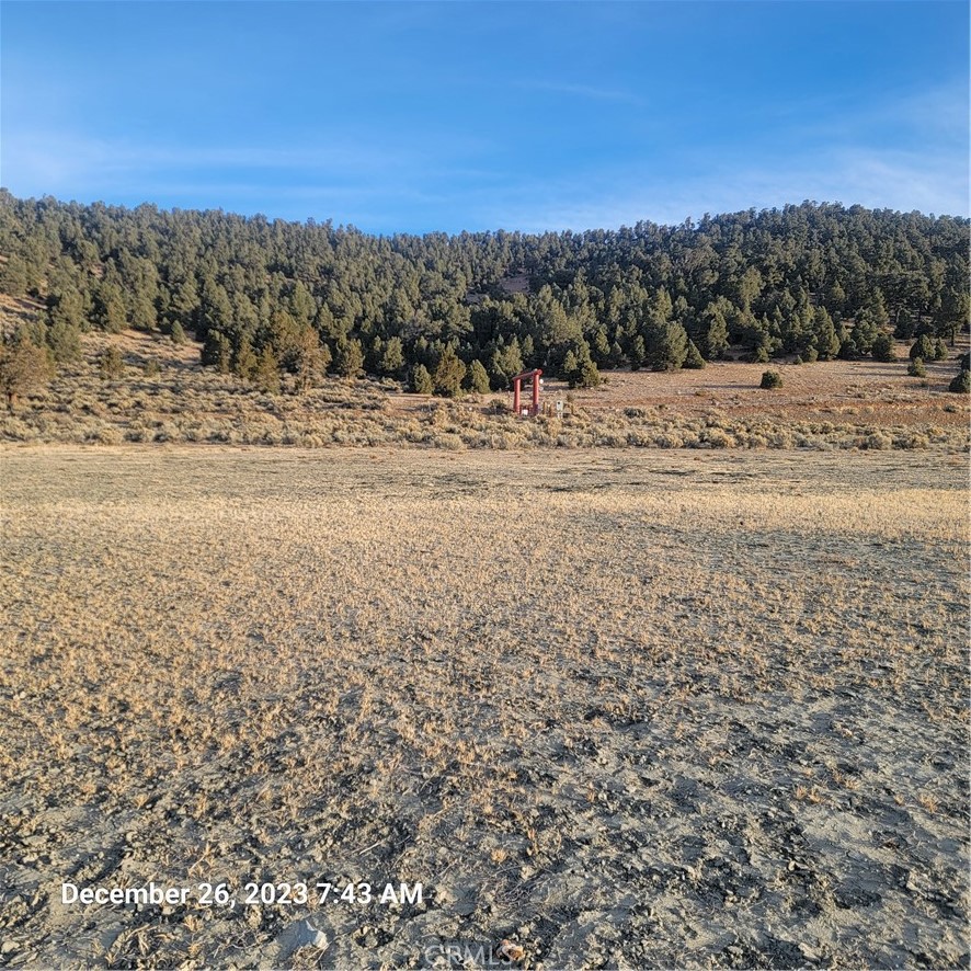 2750 Erwin Ranch Road Property Photo 5