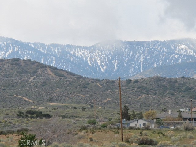 0 Ailanthus Street Property Photo 2