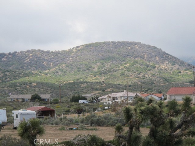 0 Ailanthus Street Property Photo 3