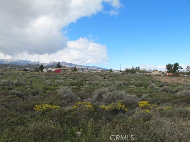 0 Ailanthus Street Property Photo 4