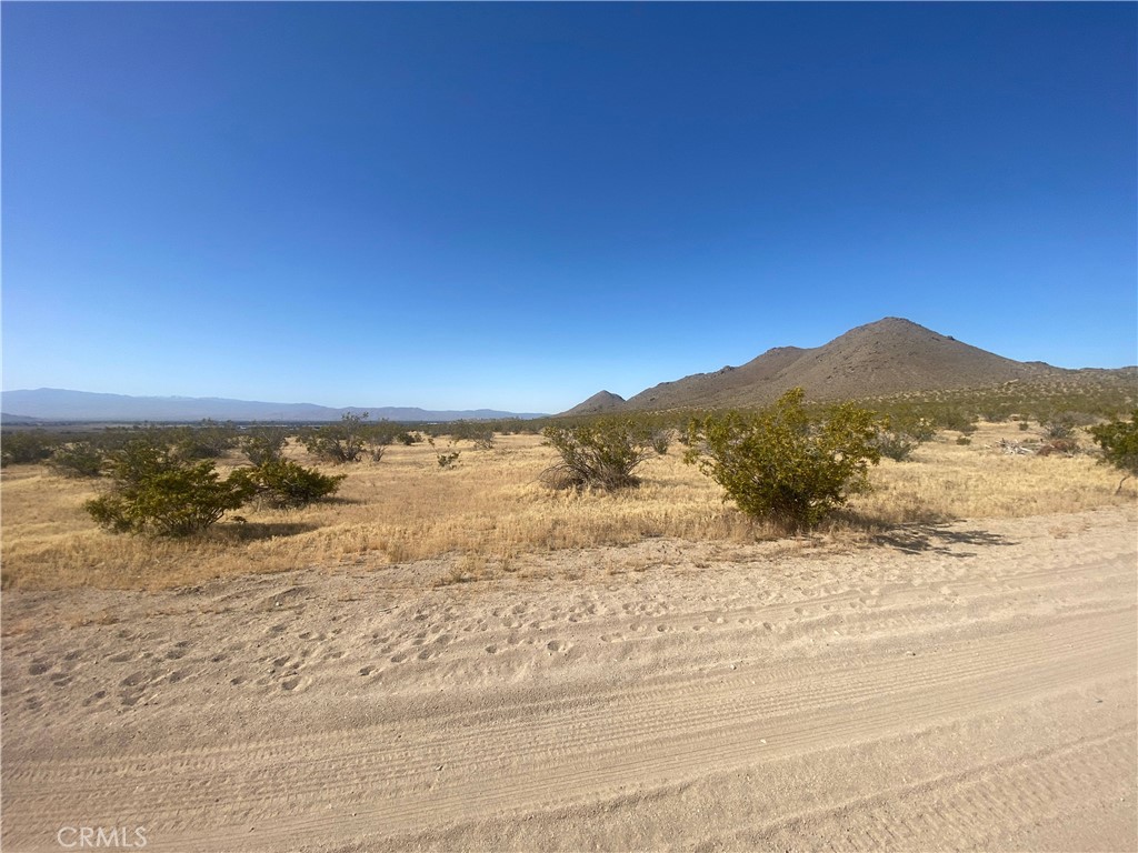 1 Falchion Road Property Photo 3