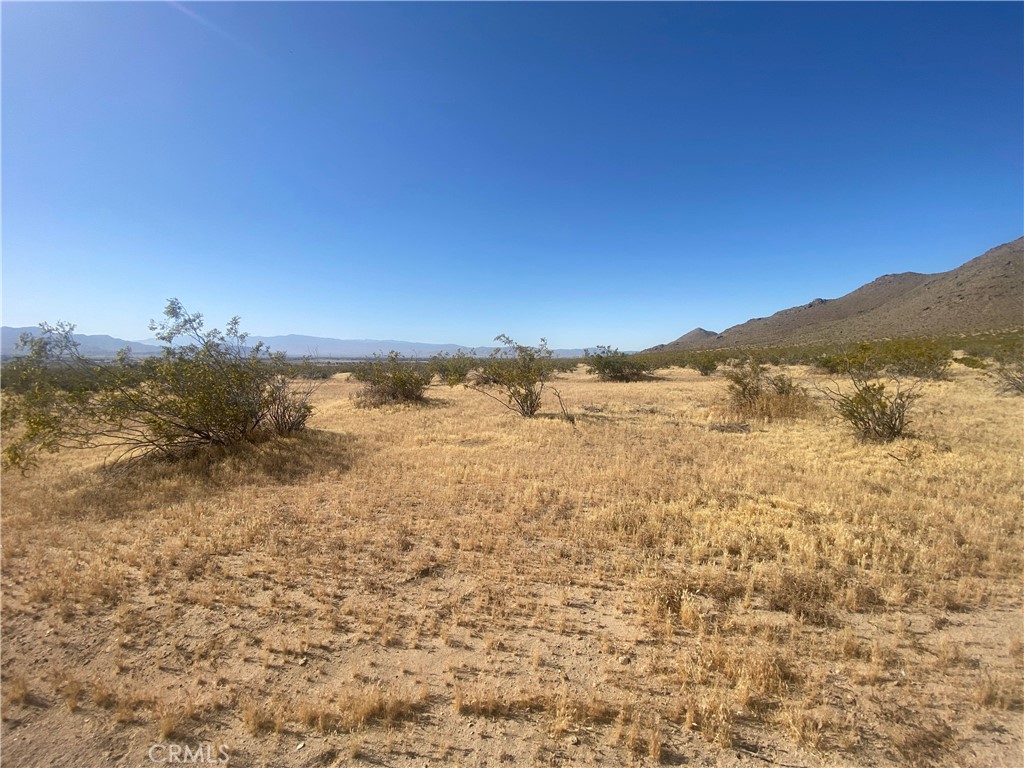 1 Falchion Road Property Photo 4
