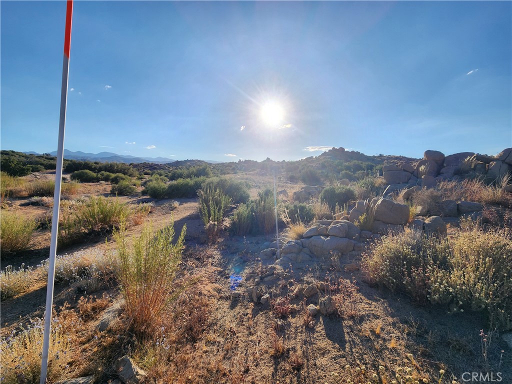 7 Ac Oak Drive Property Photo 7