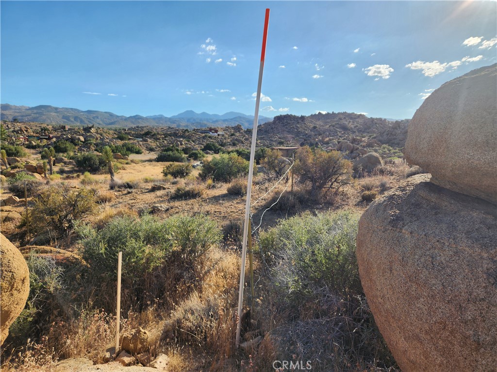 7 Ac Oak Drive Property Photo 9