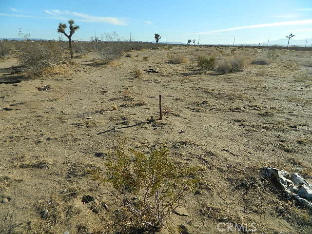0 Palmdale Road Property Photo 2