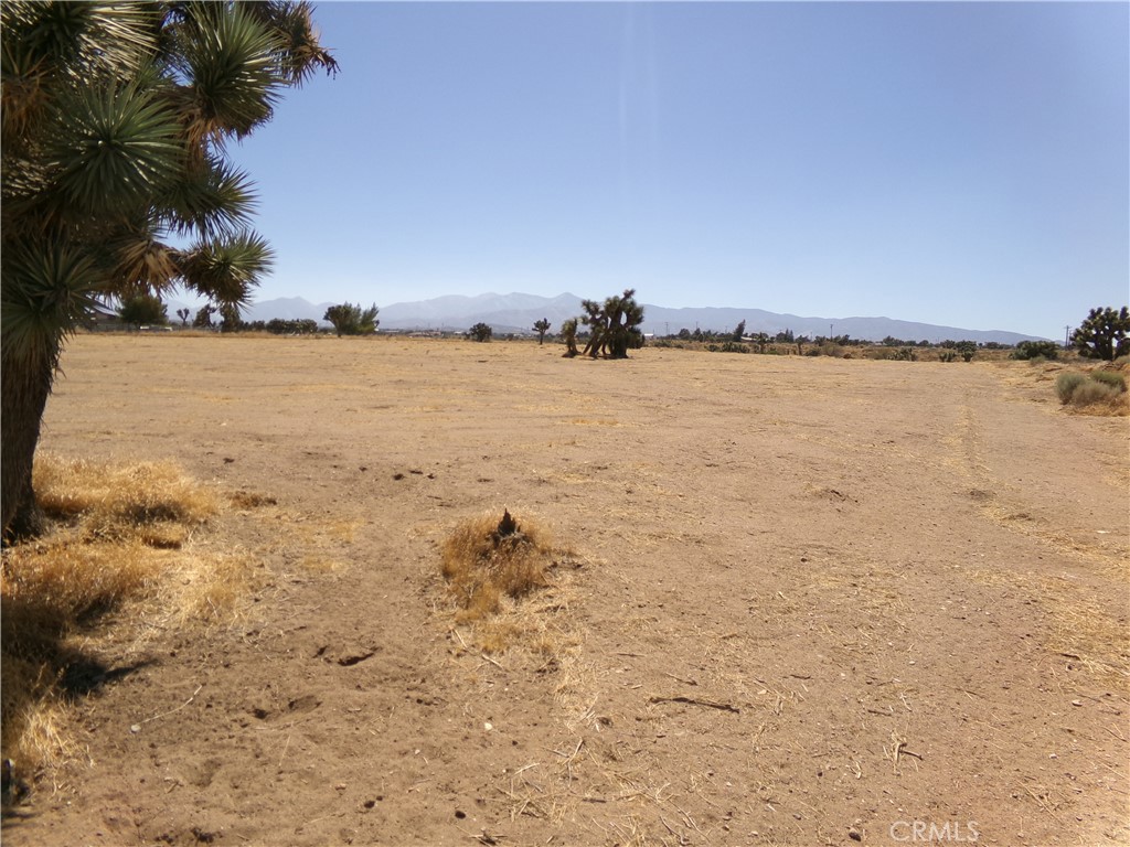 9176 Arrowhead Road Property Photo 4