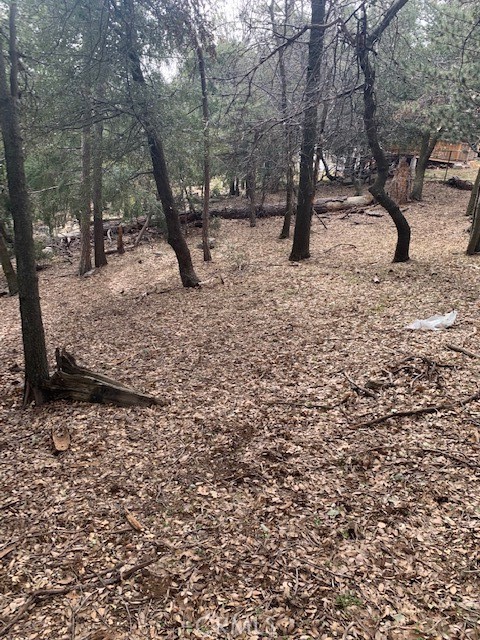0 Fir Street Property Photo 1