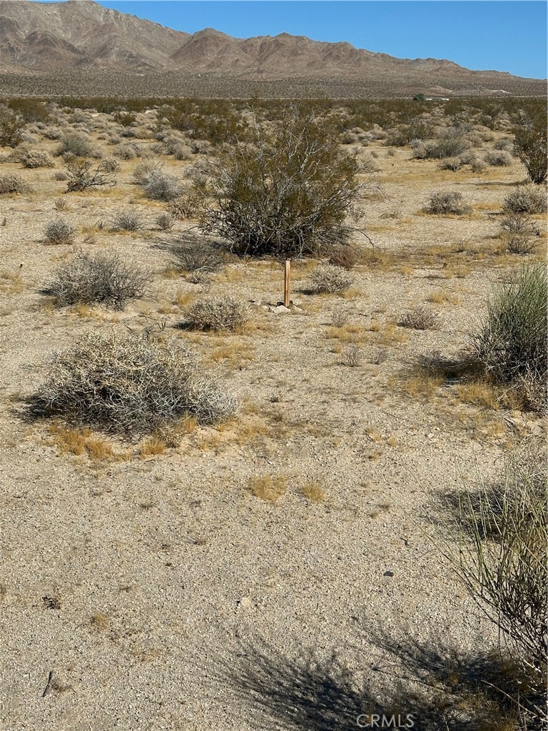 0 Fort Irwin Rd/shenk Ranch Property Photo 4