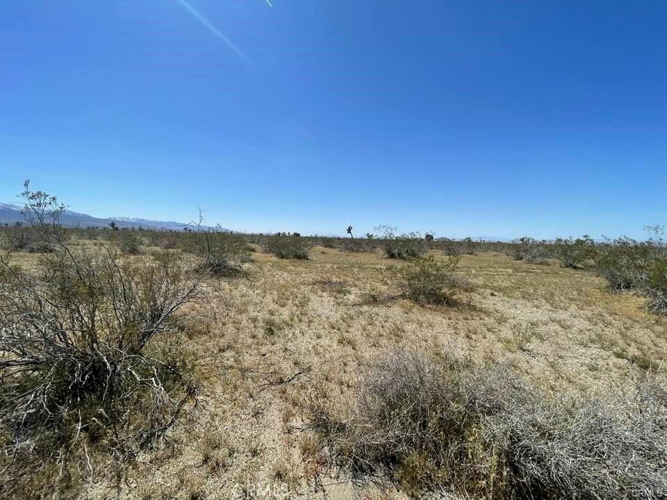 0 -dos Palmas Rd. Property Photo 12
