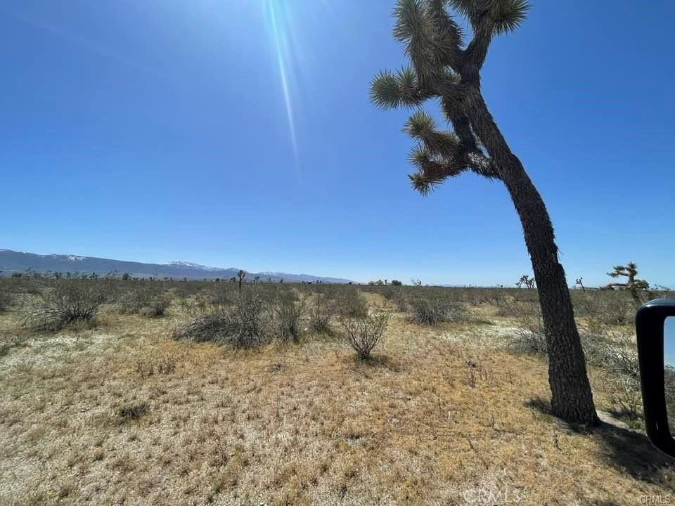 0 -dos Palmas Rd. Property Photo 13