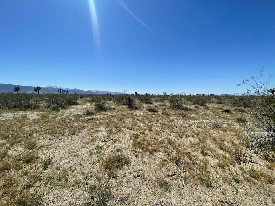 0 -dos Palmas Rd. Property Photo 14