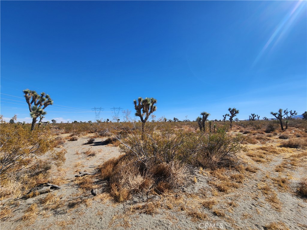 0 Colorado Road Property Photo 4