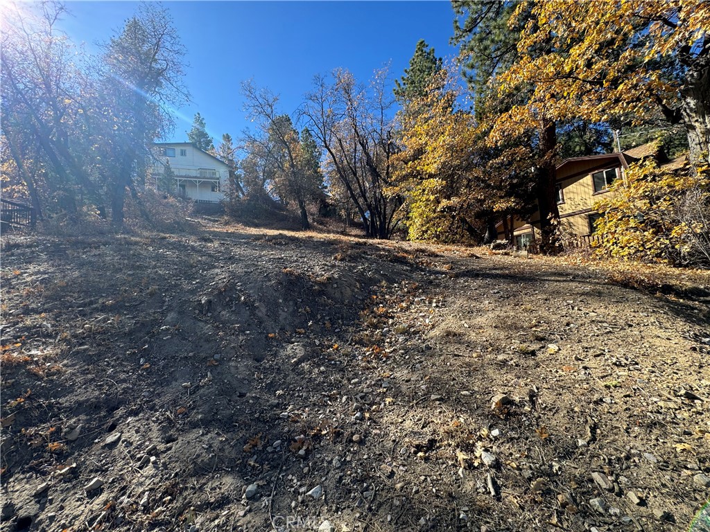 1203 S Minton Avenue Property Photo 1