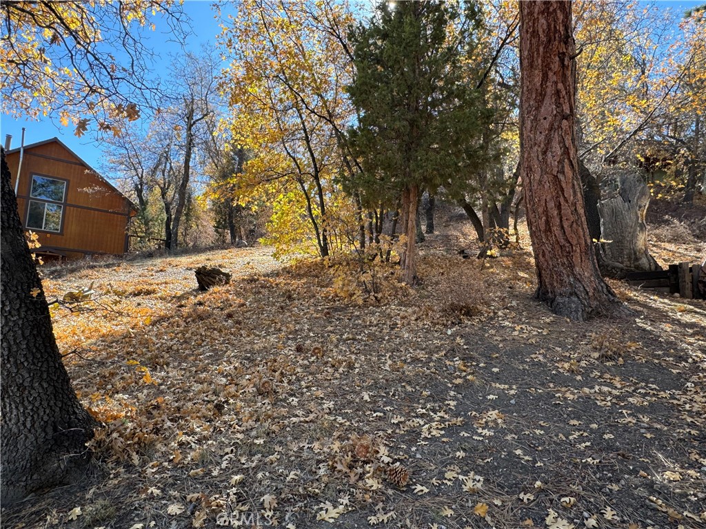 1203 S Minton Avenue Property Photo 3