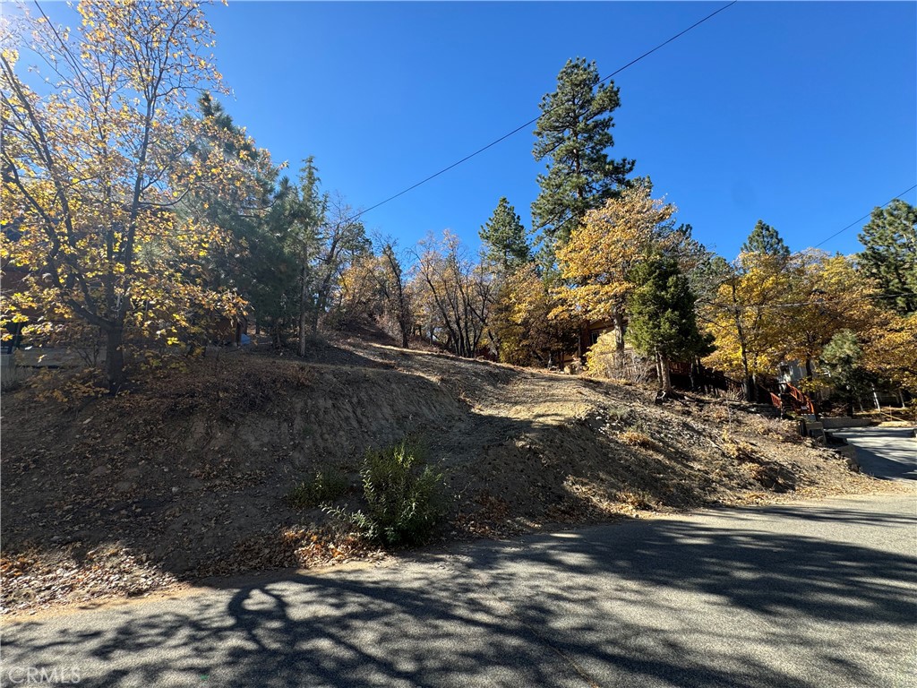 1203 S Minton Avenue Property Photo 6