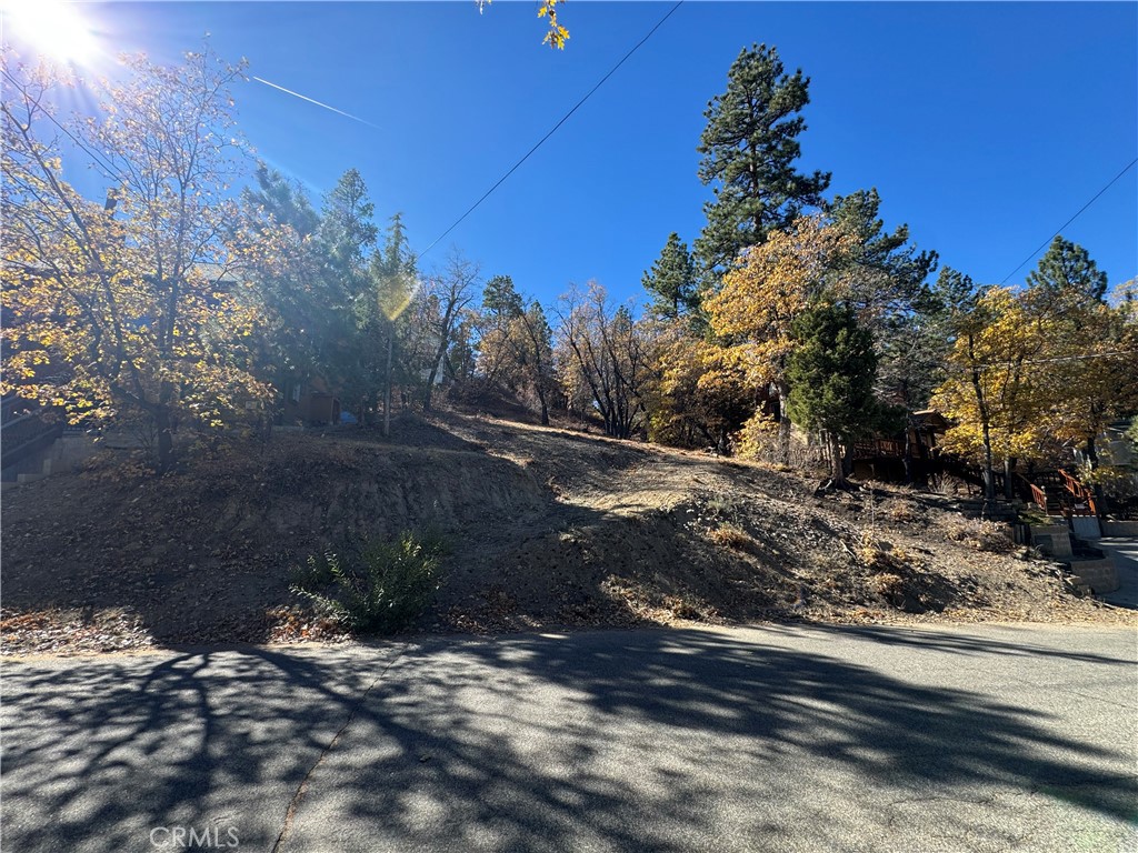 1203 S Minton Avenue Property Photo 14