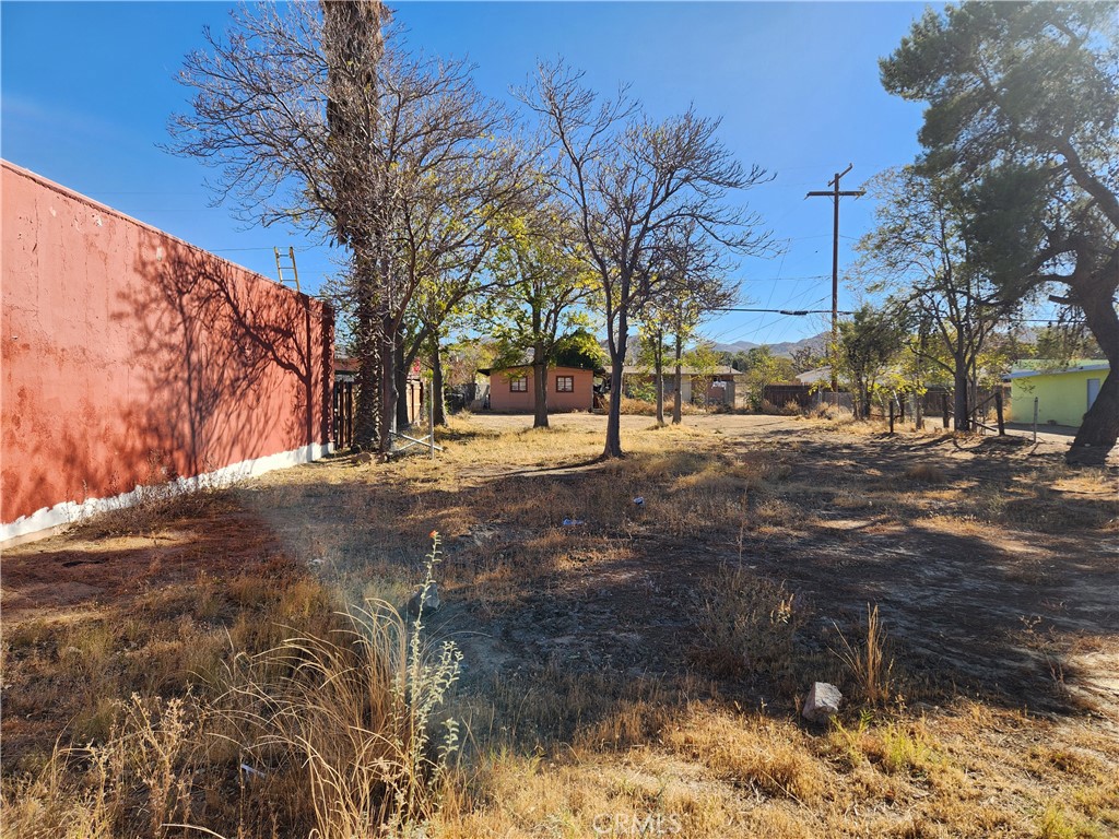 55601 29 Palms Property Photo 2