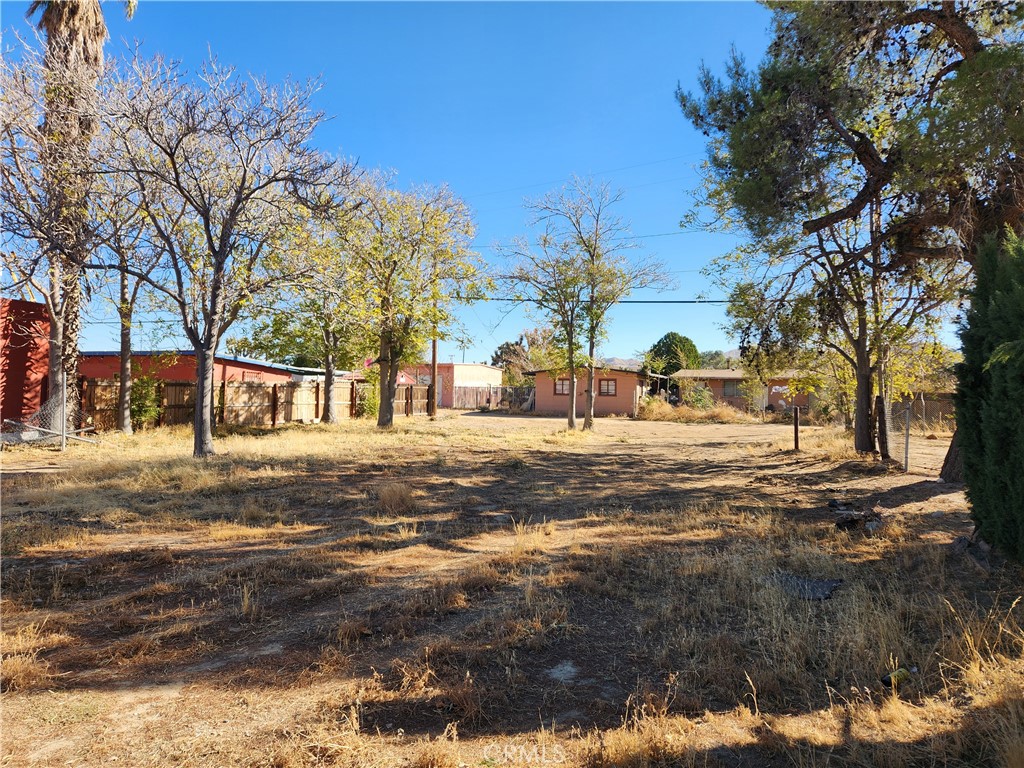 55601 29 Palms Property Photo 3