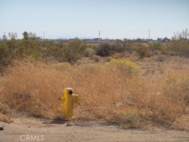 1 Brown Property Photo 2