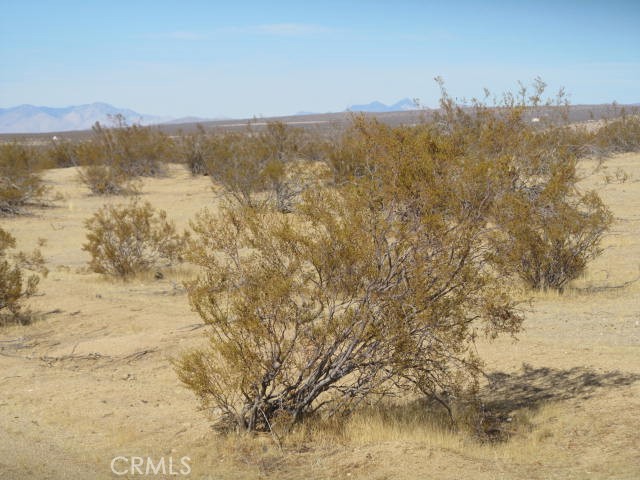 3107 Brown Boulevard Property Photo 3