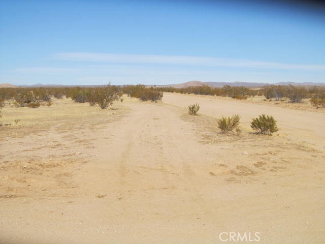 3107 Brown Boulevard Property Photo 6
