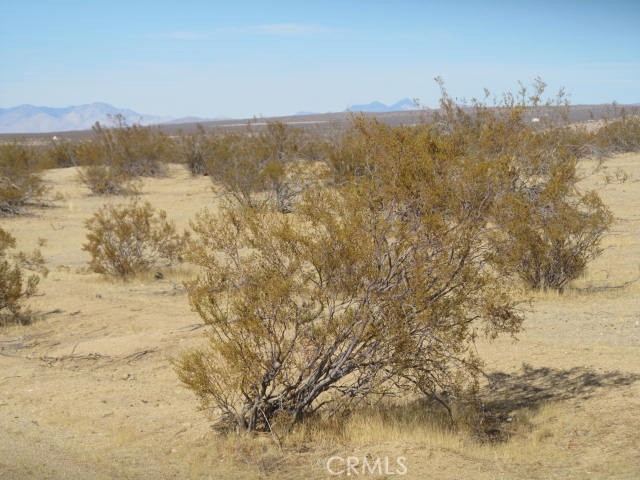 5007 Brown Boulevard Property Photo 6