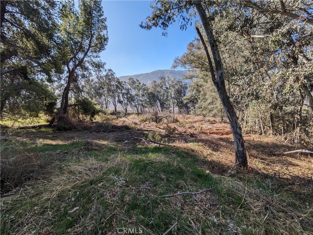 0 Cajon Blvd Property Photo 17