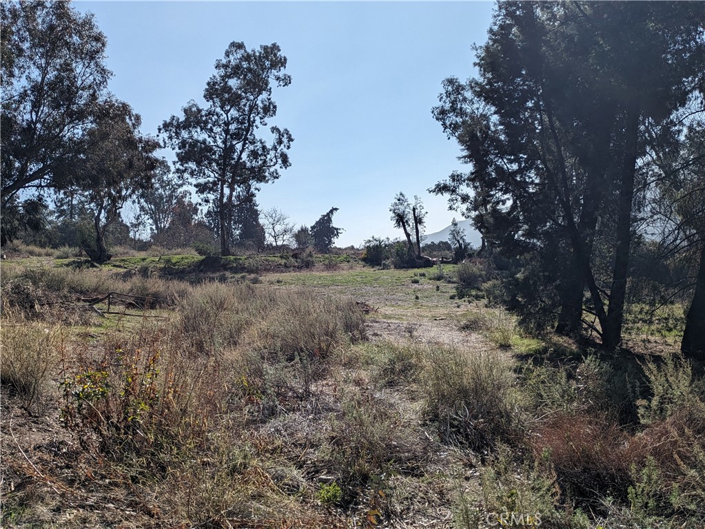 0 Cajon Blvd Property Photo 18