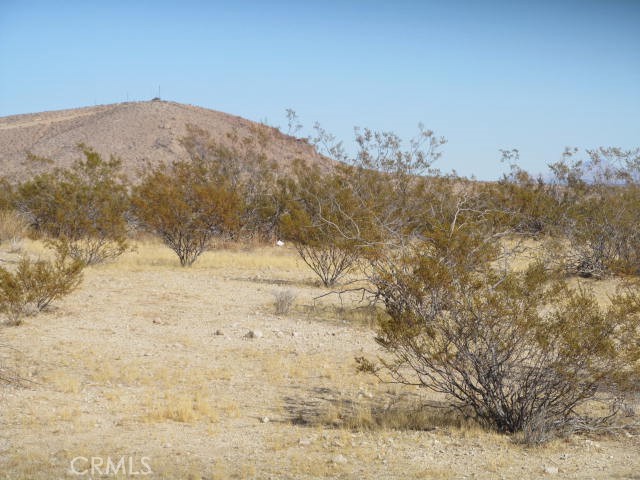 1001 Neuralia Boulevard Property Photo 1