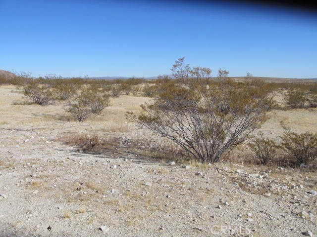 1001 Neuralia Boulevard Property Photo 2