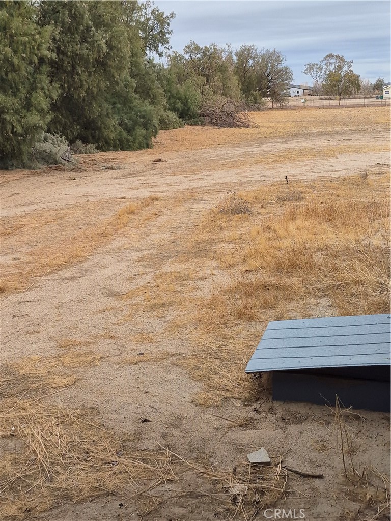 35946 Newberry Road Property Photo 13