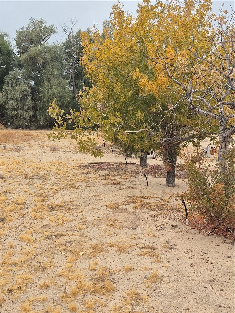 35946 Newberry Road Property Photo 36