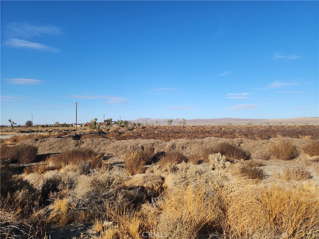 10000 El Mirage Road Property Photo 2