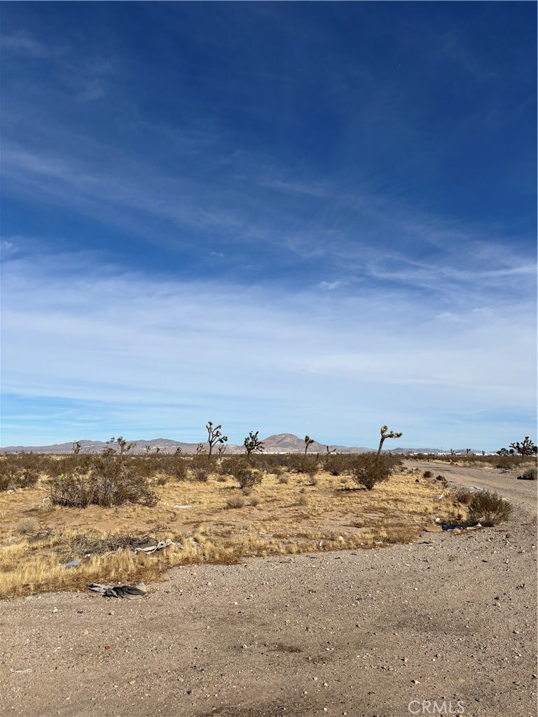 0 Auburn Avenue Property Photo