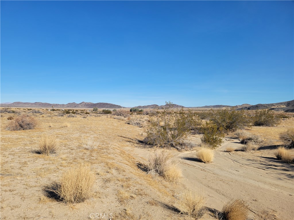 0 Fran Lou Lane Property Photo 14