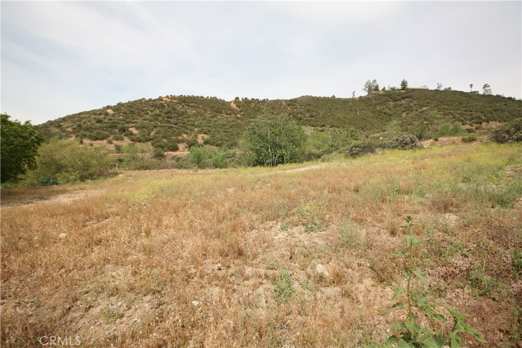 0 Deercrest Drive Property Photo 1