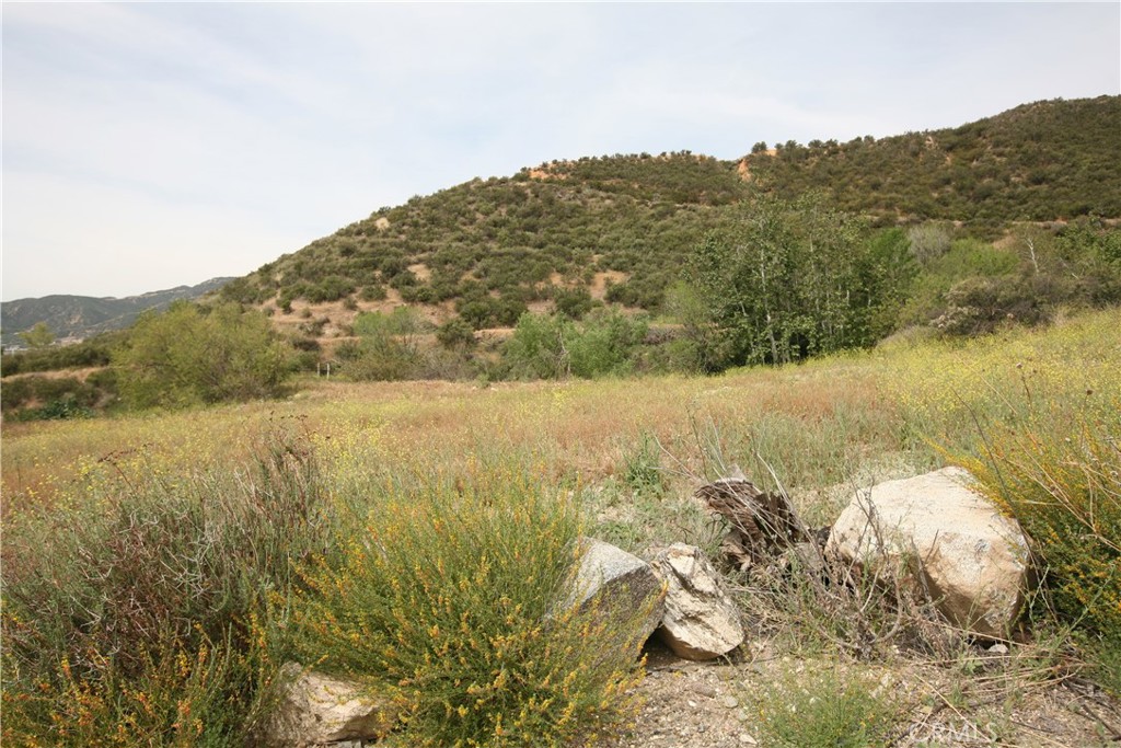 0 Deercrest Drive Property Photo 6
