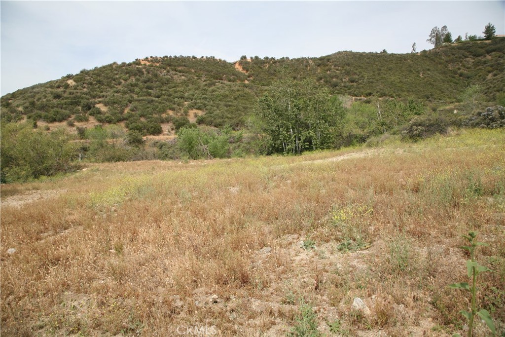 0 Deercrest Drive Property Photo 12