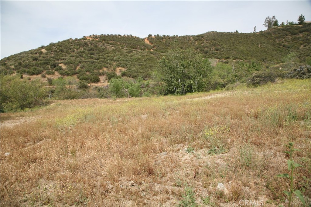 0 Deercrest Drive Property Photo 13