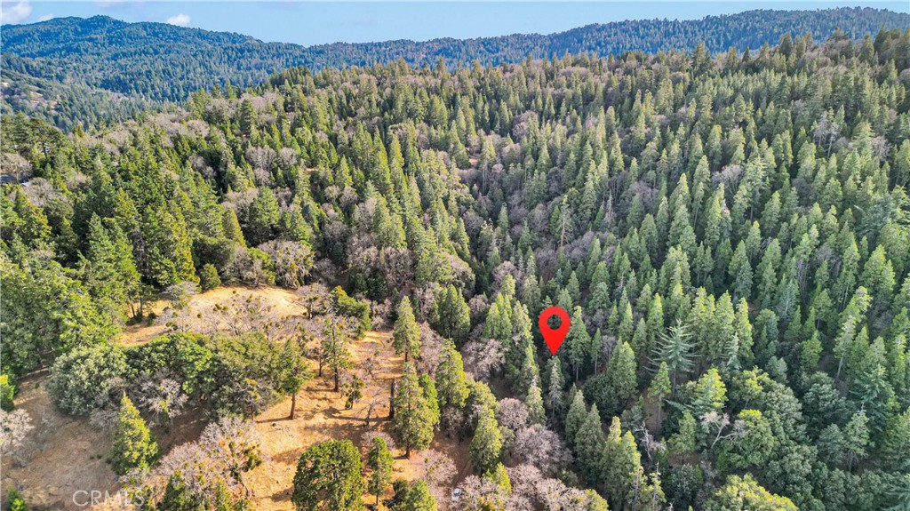 0 Mojave River Road Property Photo 3