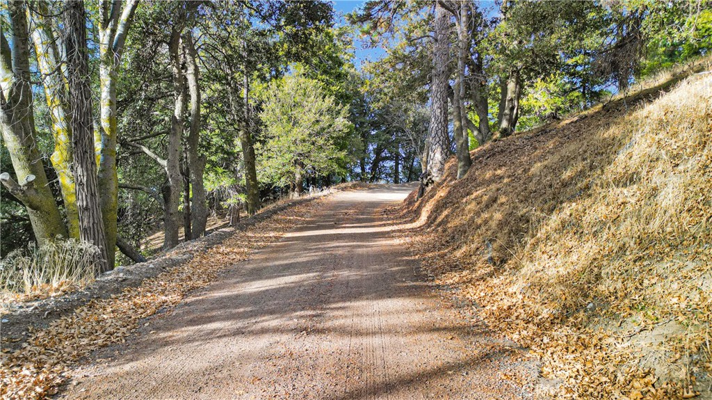 0 Mojave River Road Property Photo 9