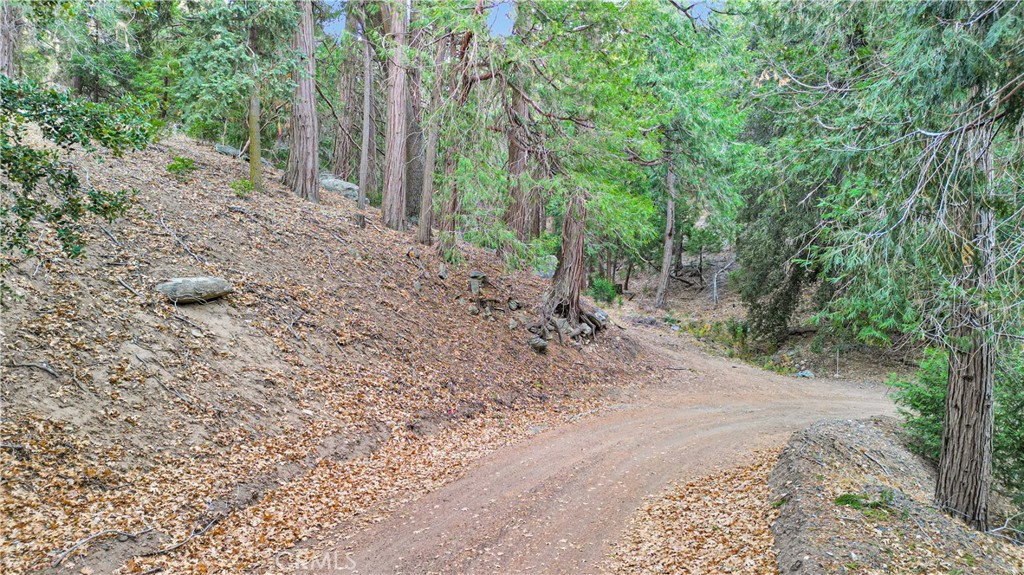 0 Mojave River Road Property Photo 10