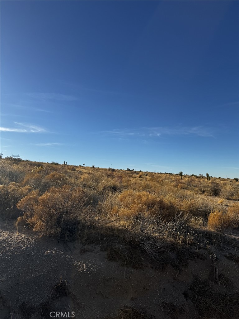 0 Candida Property Photo 1