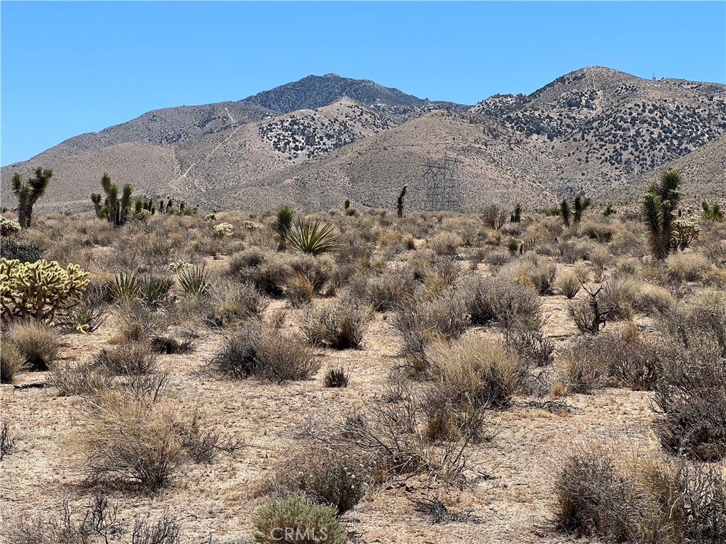 1 Sutter Property Photo 2