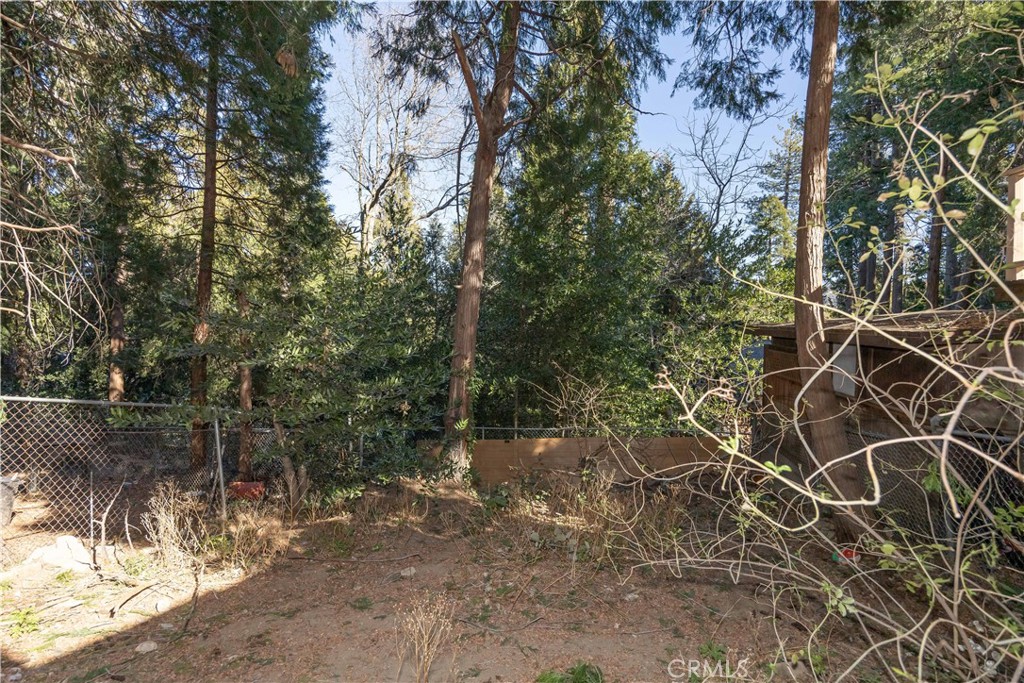 23354 Crest Forest Drive Property Photo 4